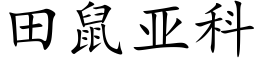 田鼠亚科 (楷体矢量字库)