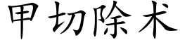 甲切除术 (楷体矢量字库)