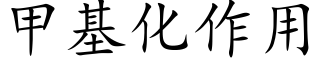 甲基化作用 (楷体矢量字库)