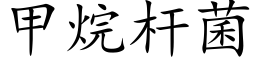 甲烷杆菌 (楷體矢量字庫)