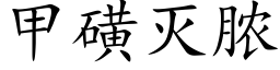 甲磺滅膿 (楷體矢量字庫)