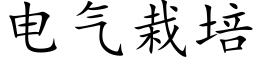 電氣栽培 (楷體矢量字庫)