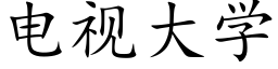 電視大學 (楷體矢量字庫)