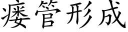 瘘管形成 (楷体矢量字库)