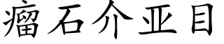 瘤石介亚目 (楷体矢量字库)