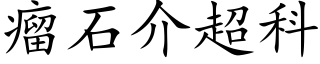 瘤石介超科 (楷体矢量字库)