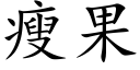 瘦果 (楷体矢量字库)