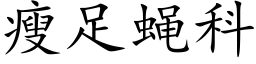 瘦足蝇科 (楷体矢量字库)