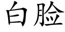 白脸 (楷体矢量字库)