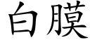 白膜 (楷体矢量字库)