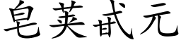 皂莢甙元 (楷體矢量字庫)