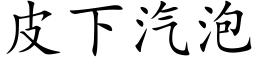 皮下汽泡 (楷体矢量字库)