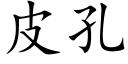 皮孔 (楷体矢量字库)