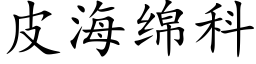 皮海綿科 (楷體矢量字庫)