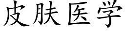 皮肤医学 (楷体矢量字库)