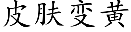 皮肤变黄 (楷体矢量字库)