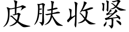 皮肤收紧 (楷体矢量字库)