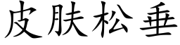 皮肤松垂 (楷体矢量字库)