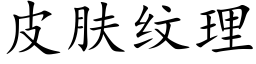 皮肤纹理 (楷体矢量字库)