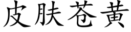 皮肤苍黄 (楷体矢量字库)