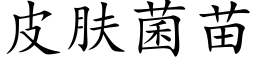 皮肤菌苗 (楷体矢量字库)