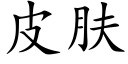 皮肤 (楷体矢量字库)