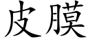 皮膜 (楷体矢量字库)