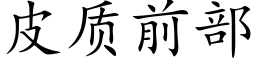 皮質前部 (楷體矢量字庫)