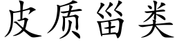 皮質甾類 (楷體矢量字庫)