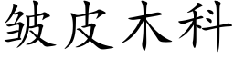 皱皮木科 (楷体矢量字库)