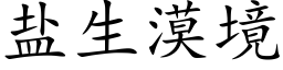 盐生漠境 (楷体矢量字库)