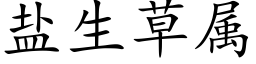 盐生草属 (楷体矢量字库)