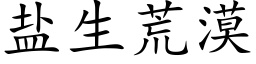 盐生荒漠 (楷体矢量字库)