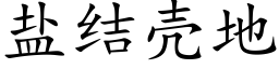 鹽結殼地 (楷體矢量字庫)