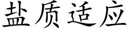 盐质适应 (楷体矢量字库)