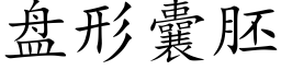 盘形囊胚 (楷体矢量字库)