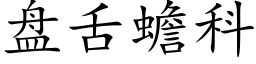 盘舌蟾科 (楷体矢量字库)