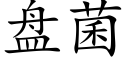 盘菌 (楷体矢量字库)