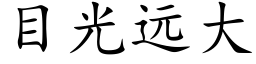 目光远大 (楷体矢量字库)