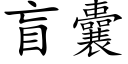 盲囊 (楷体矢量字库)