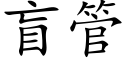 盲管 (楷體矢量字庫)