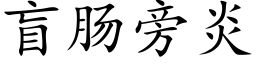 盲肠旁炎 (楷体矢量字库)