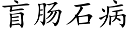 盲肠石病 (楷体矢量字库)