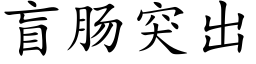 盲肠突出 (楷体矢量字库)