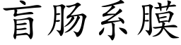 盲肠系膜 (楷体矢量字库)