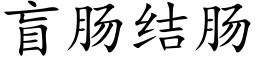 盲腸結腸 (楷體矢量字庫)