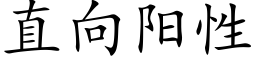 直向陽性 (楷體矢量字庫)