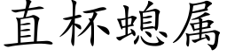 直杯螅属 (楷体矢量字库)