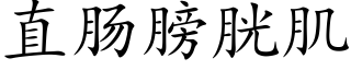 直肠膀胱肌 (楷体矢量字库)