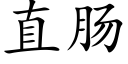 直肠 (楷体矢量字库)